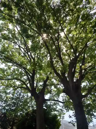 本郷神社(神奈川県)
