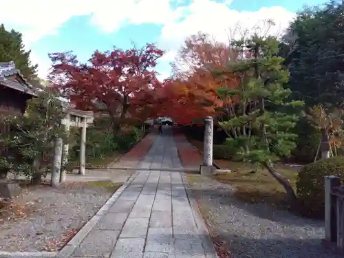 養源院(京都府)