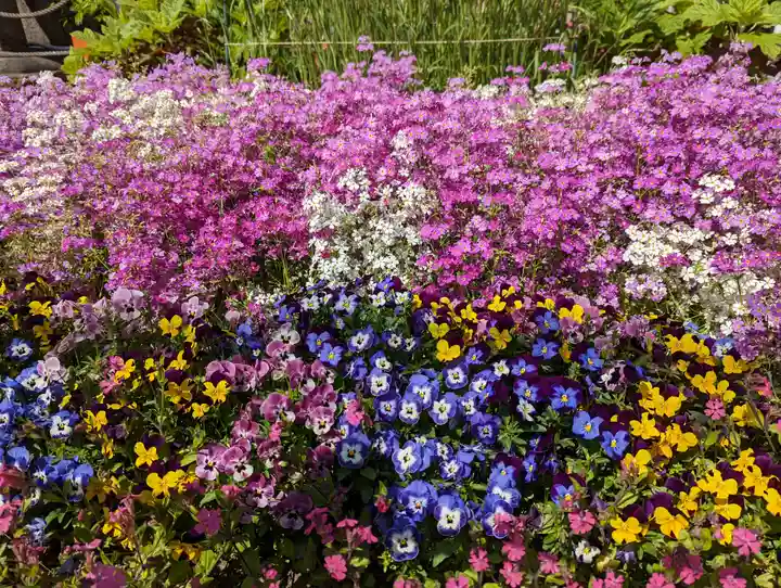 六孫王神社(京都府)
