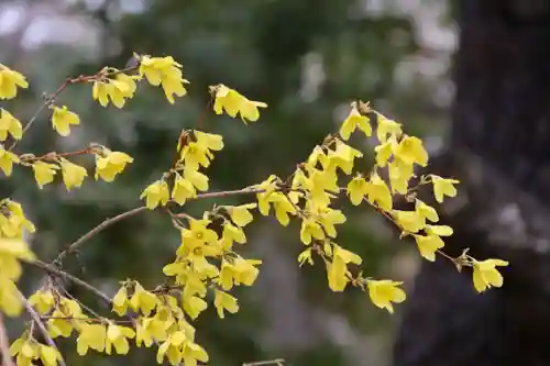 開成山大神宮の庭園