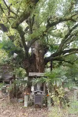 志度寺(香川県)