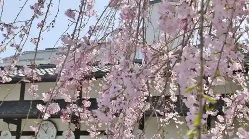 石像寺（釘抜地蔵）の自然