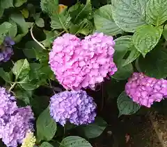 磯山神社の自然