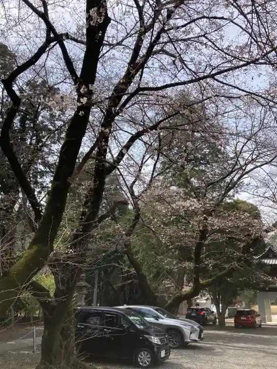 総寧寺(千葉県)