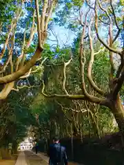 酒列磯前神社の自然