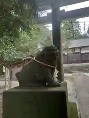 出雲祝神社の狛犬