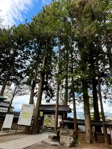 諏訪大社(長野県)