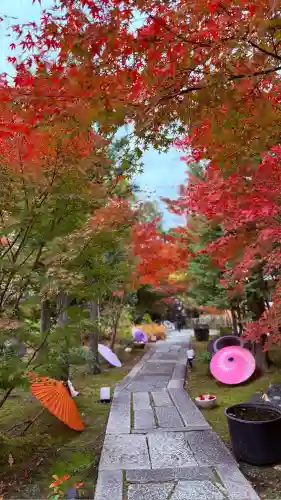 勝林寺(京都府)