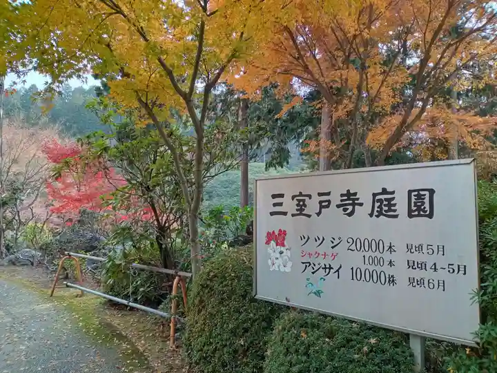 三室戸寺(京都府)
