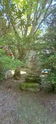 氷上神社の{uncategorized: "未分類", other: "その他", undefined: "問題あり", building: "その他建物", grave: "お墓", sacred_gate: "鳥居", guardian: "狛犬", statue: "像", buddha: "仏像", history: "歴史", nature: "自然", garden: "庭園", animal: "動物", pagoda: "塔", temizu: "手水舎", mountain_gate: "山門・神門", sanctuary: "本殿・本堂", subordinate: "末社・摂社", art: "芸術", scenery: "景色", jizo: "地蔵", ema: "絵馬", goshuin: "御朱印", omikuji: "おみくじ", items: "授与品その他", amulet: "お守り", goshuincho: "御朱印帳", eats: "食事", festival: "お祭り", votive_dance: "神楽", shichigosan: "七五三参", wedding: "結婚式", experience: "体験その他", initially: "初詣", around: "周辺", anti_infection: "感染症対策"}