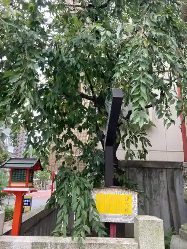 吉原神社(東京都)