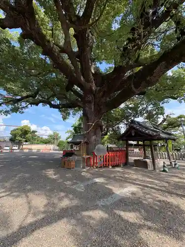 百舌鳥八幡宮(大阪府)