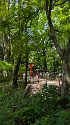 賀茂御祖神社（下鴨神社）(京都府)
