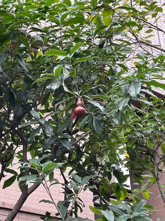 秋葉神社(東京都)