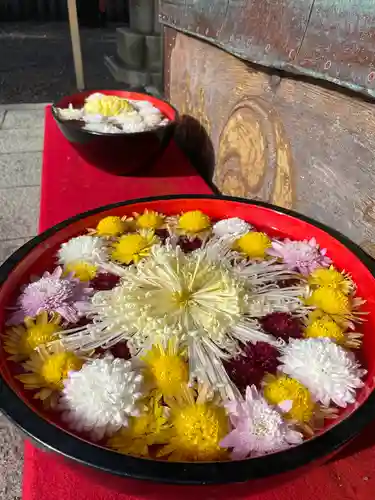 草加神社の手水