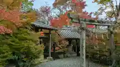 鍬山神社(京都府)