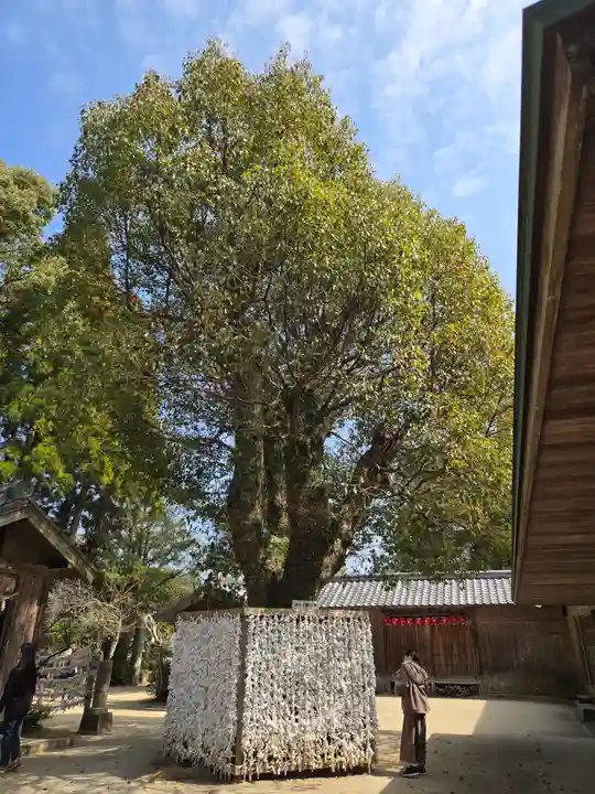櫻井神社(福岡県)