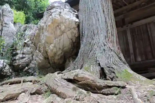 鹿島大神宮の自然