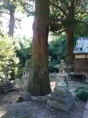 稲田神社の建物その他