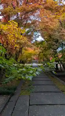 興聖寺(京都府)