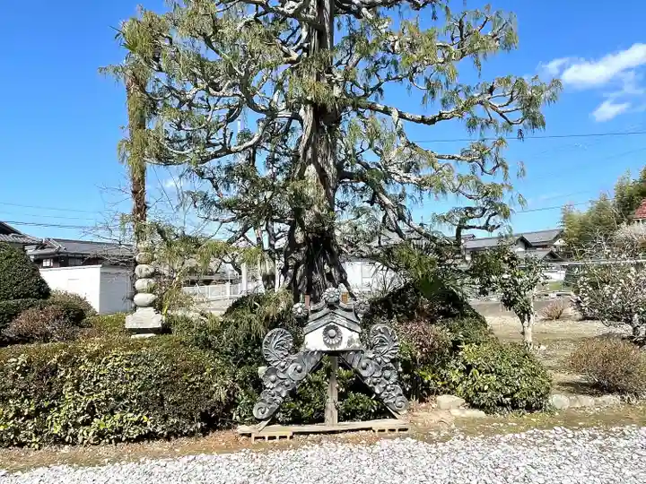 善福寺(滋賀県)