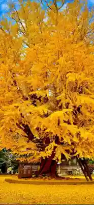 西蓮寺(茨城県)