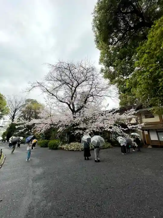 阿佐ヶ谷神明宮(東京都)