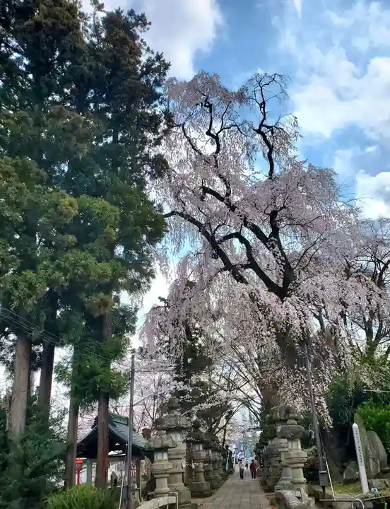 神炊館神社 ⁂奥州須賀川総鎮守⁂(福島県)