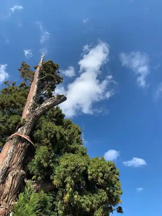 吉備津彦神社(岡山県)