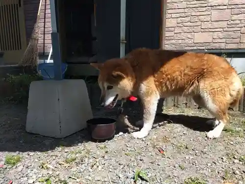 伊勢神社(鹿児島県)
