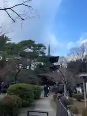 豪徳寺(東京都)