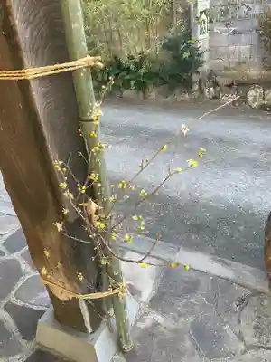 安楽院(神奈川県)