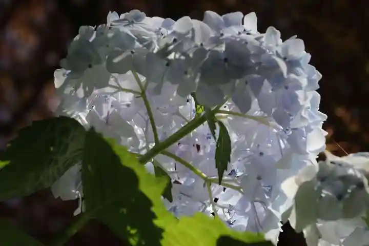 熊野福藏神社の庭園
