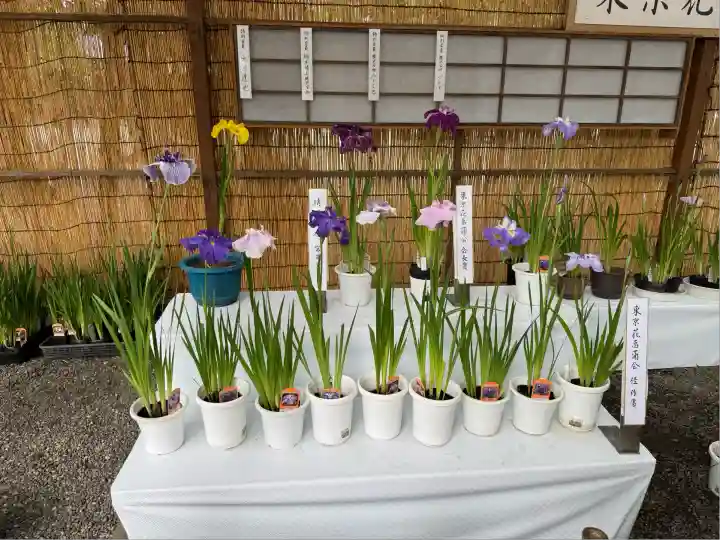 靖國神社(東京都)