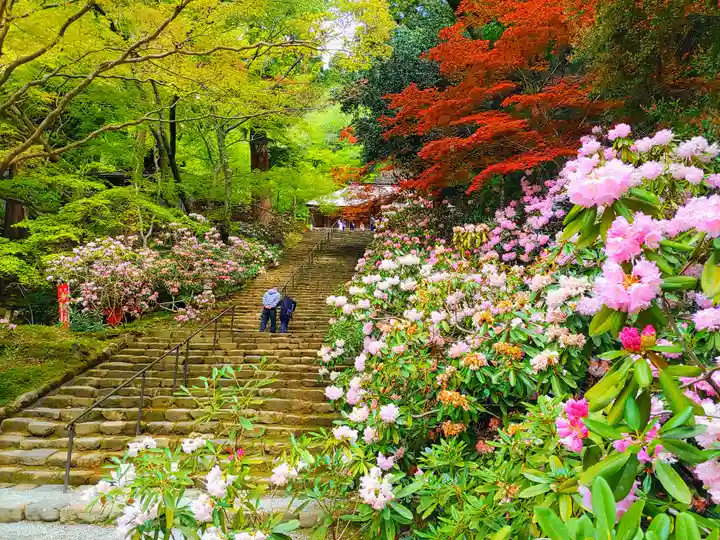 室生寺(奈良県)