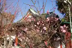 亀戸天神社の建物その他