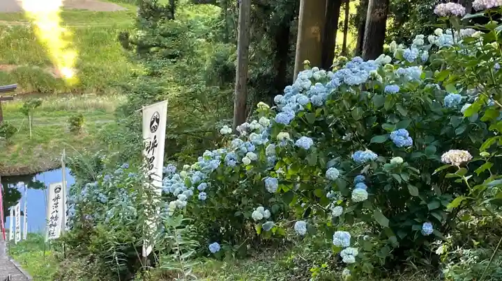坪沼八幡神社の自然
