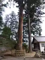 錦山神社(岐阜県)