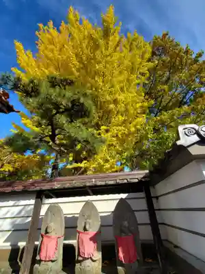 如宝寺(福島県)