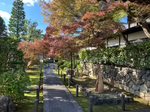 妙心寺（妙心禅寺）の建物その他