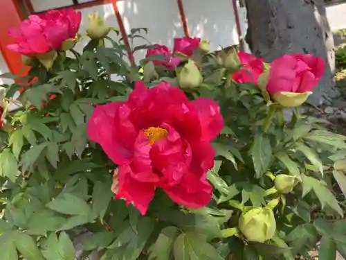 生島足島神社の自然