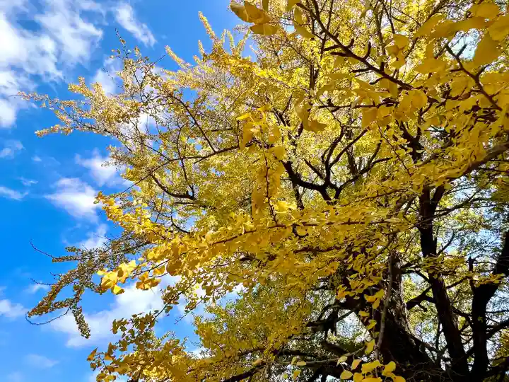 大山寺(徳島県)