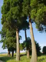 大源神社の周辺