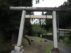 虎柏神社の鳥居