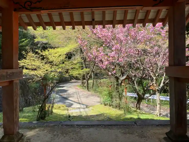 海住山寺(京都府)