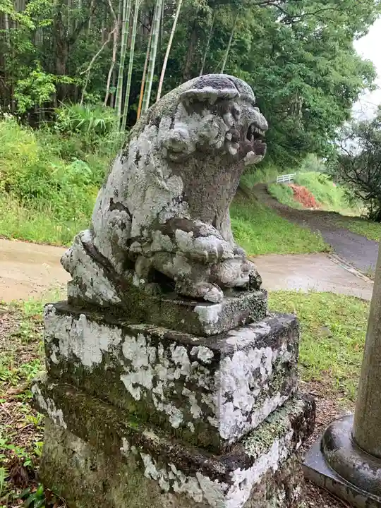 熊野神社の狛犬