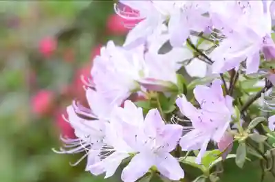 東円寺(山梨県)