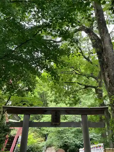 東郷神社の{uncategorized: "未分類", other: "その他", undefined: "問題あり", building: "その他建物", grave: "お墓", sacred_gate: "鳥居", guardian: "狛犬", statue: "像", buddha: "仏像", history: "歴史", nature: "自然", garden: "庭園", animal: "動物", pagoda: "塔", temizu: "手水舎", mountain_gate: "山門・神門", sanctuary: "本殿・本堂", subordinate: "末社・摂社", art: "芸術", scenery: "景色", jizo: "地蔵", ema: "絵馬", goshuin: "御朱印", omikuji: "おみくじ", items: "授与品その他", amulet: "お守り", goshuincho: "御朱印帳", eats: "食事", festival: "お祭り", votive_dance: "神楽", shichigosan: "七五三参", wedding: "結婚式", experience: "体験その他", initially: "初詣", around: "周辺", anti_infection: "感染症対策"}
