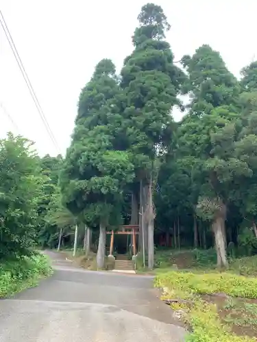 八幡神社の鳥居