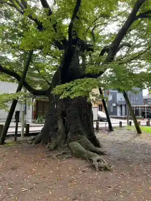 金峯神社(新潟県)